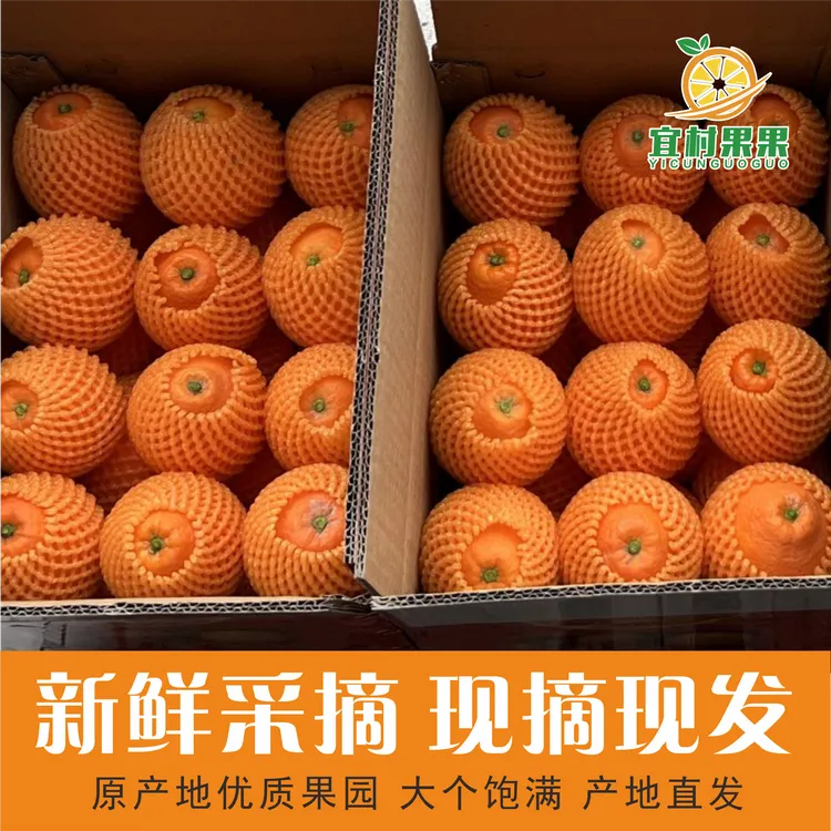 宜昌纽荷尔脐橙纯甜橙子农家自种新鲜现摘水果皮薄多汁