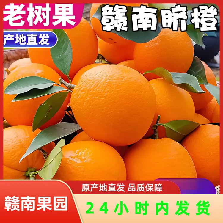 现摘正宗赣南脐橙江西赣州当季水果新鲜橙子产地果园直发榨汁大