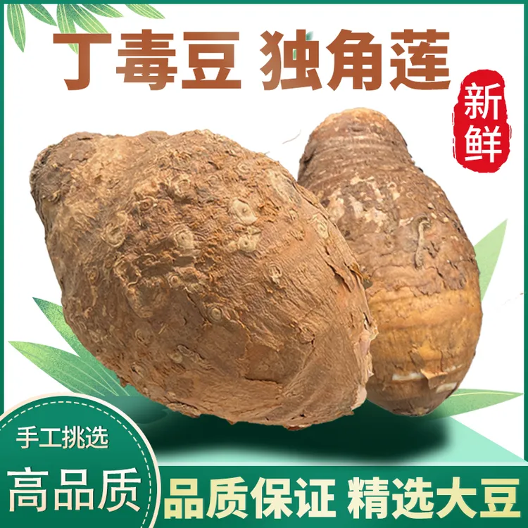 【东北新鲜独角莲丁毒豆】农家种植个头精选饱满坏了包赔包换