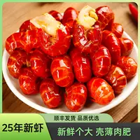 大特龙虾尾  到手三斤  一斤65-80粒左右/包  送料4份虾炒料
