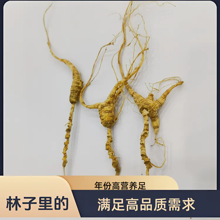 品北珍长白山人参老山参林下的参非野山参干参滋补泡茶