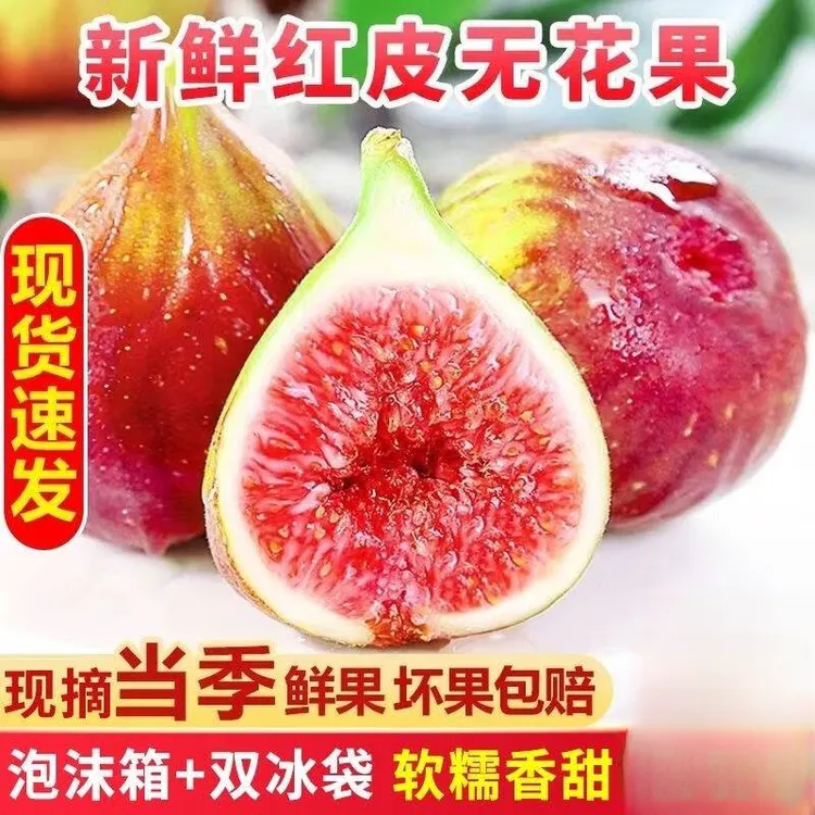 顺丰精选现摘新鲜四川无花果泡沫箱冰袋装大果紫皮红皮五花果鲜果
