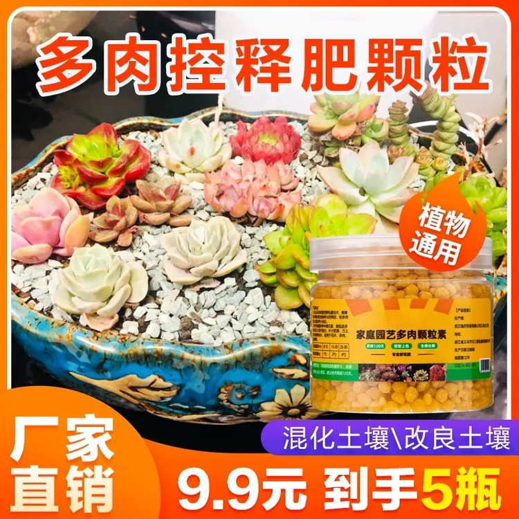 超值5瓶！】多肉控释肥营养颗粒通用型生根农用物资复合氮肥商品图