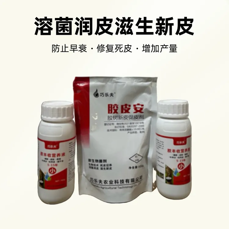 橡胶树科学管理方案黄金组合营养增胶，修复死皮增加产量，防止早衰