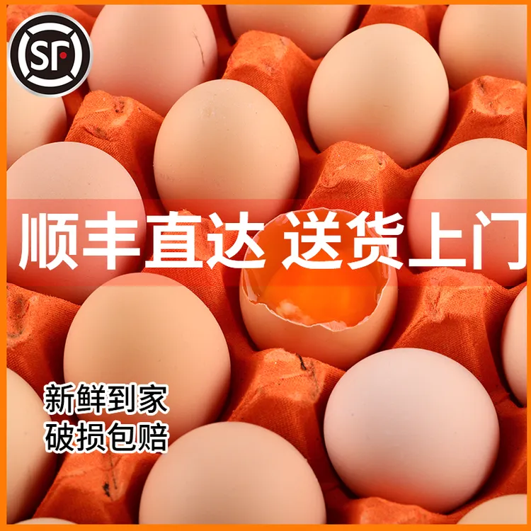 【顺丰包邮】100枚土鸡蛋现捡现发营养丰富正宗农家散养