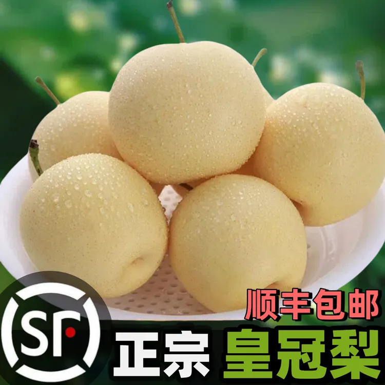 【顺丰包邮】脆甜皇冠梨皮商超精品薄多汁产地直发当季新鲜水果批发