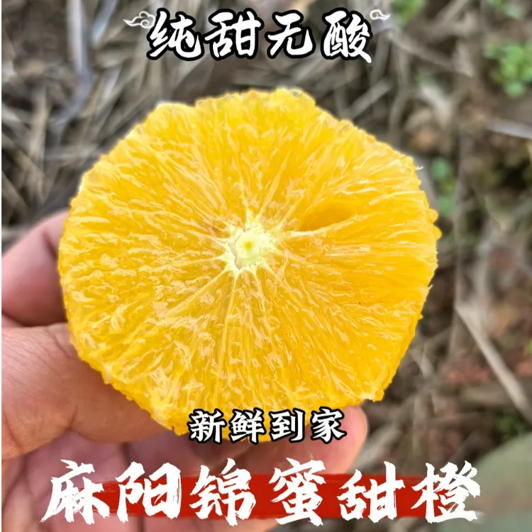 高质量正宗麻阳锦蜜冰糖橙/甜橙/现摘现发/纯甜无酸/橙子水果直播