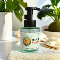 李功南妆字号泡沫型氨基酸精油洗手液温和保湿儿童可用柑橘香