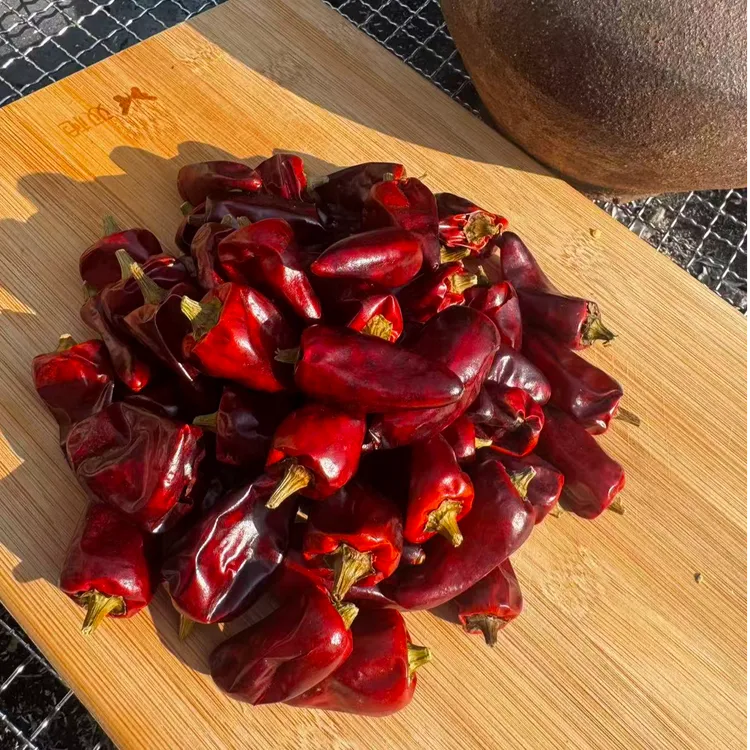 子弹头皱皮蔬菜红辣椒【中辣-特香】正宗贵州中辣子弹头干辣椒
