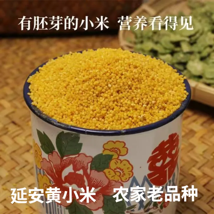 陕北延安黄小米农家老品种不抛光带胚芽杂粮2.5KG实惠装小黄米5斤