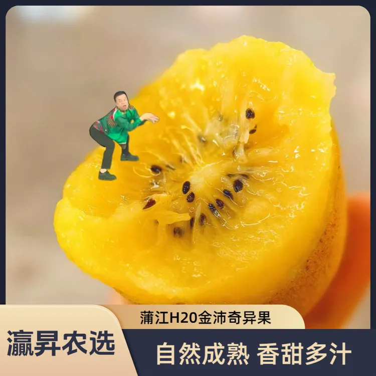 【利哥专属】蒲江新品种H20金沛奇异果【金沛奇异果】