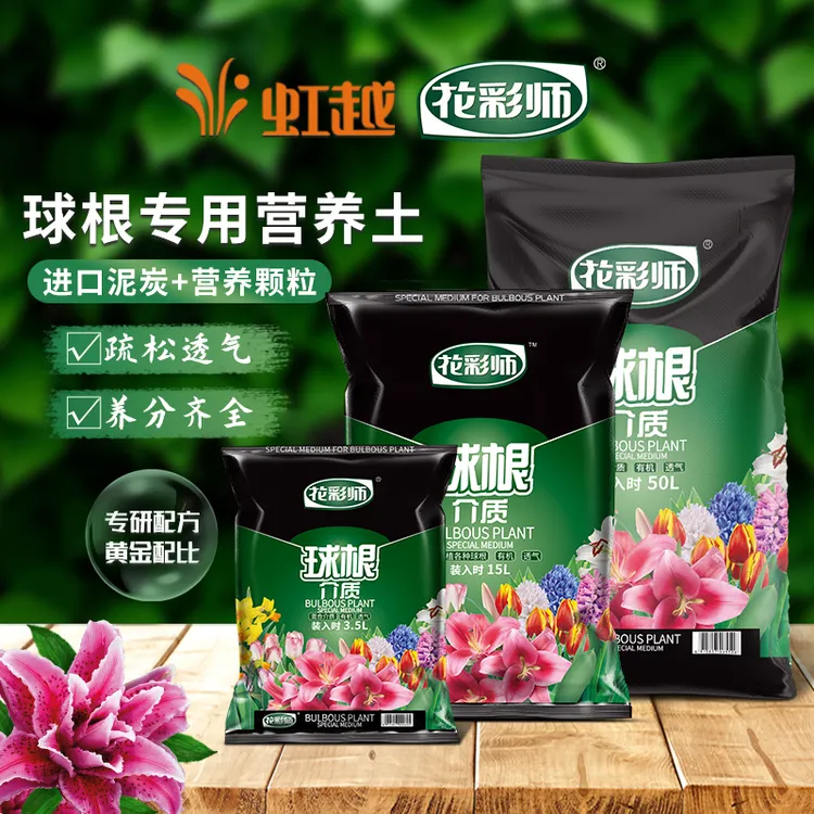 虹越花彩师球根专用营养土郁金香朱顶红百合风信子种球养花专用土