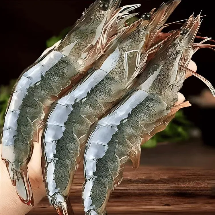 （青岛）海虾3斤15-18cm 45只左右 顺丰发货精