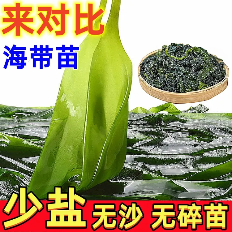 海带苗【6袋少盐升级】低脂肪鲜嫩新鲜营养霞浦直发300g.包