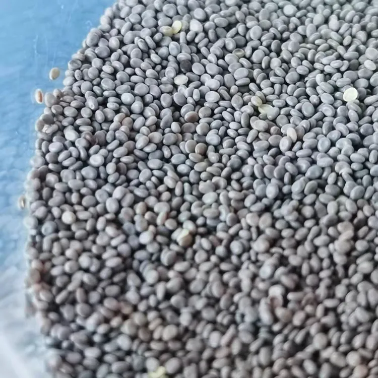 结 ！！！白色 蚕茧大蚕茧