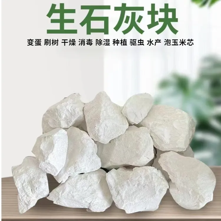 吸水祛湿生石灰块家用除湿袋防霉专用防潮干燥剂生石灰变蛋专用