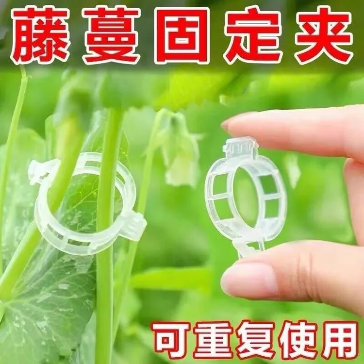 【100个装】黄瓜西红柿豆角爬藤绑枝固定夹绿植蔬菜捆藤蔓藤蔓扣商品图