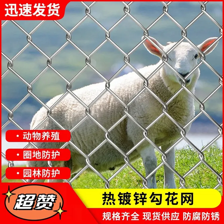 不锈钢勾花网边坡防护蔬菜镀锌铁丝钢丝隔离围栏果园围栏网高颜值