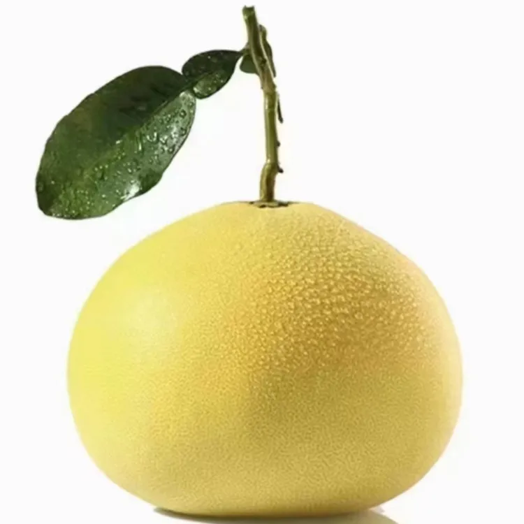 当季水果【玉环文旦】新鲜浙江台州文旦柚子白心肉脆爽酸甜现摘现发