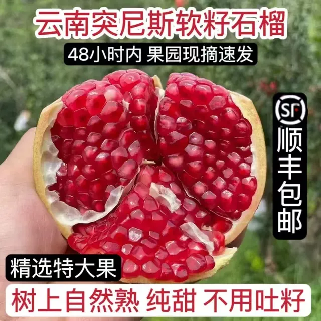 云南大理宾川突尼斯软籽甜石榴现摘当季水果大果顺丰包邮中秋礼物