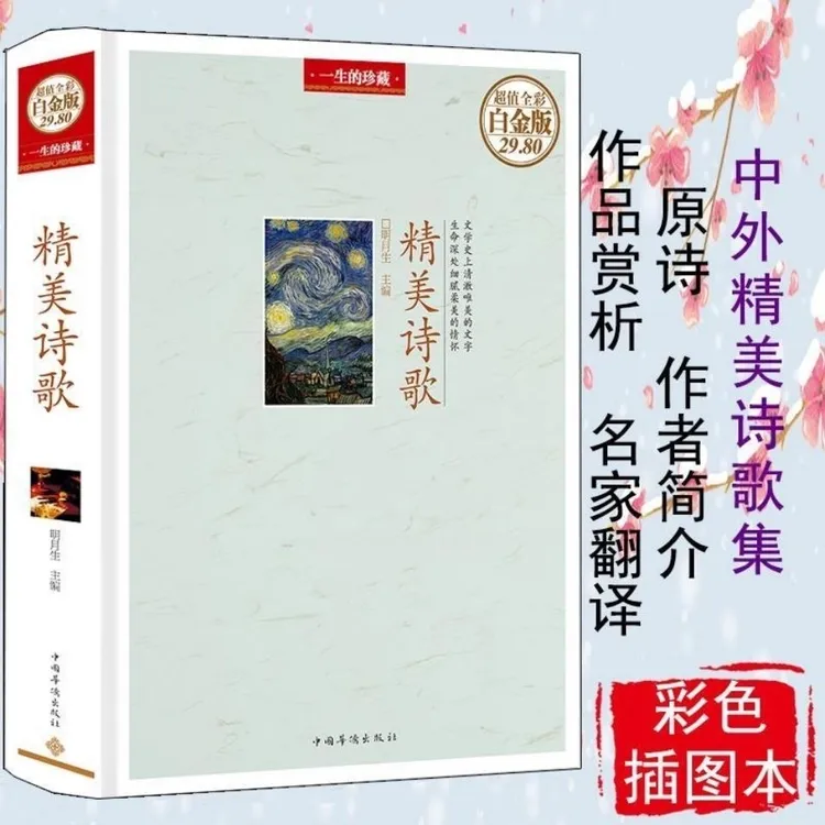 精美诗歌全彩白金版一生的珍藏诗歌鉴赏中国现代诗歌