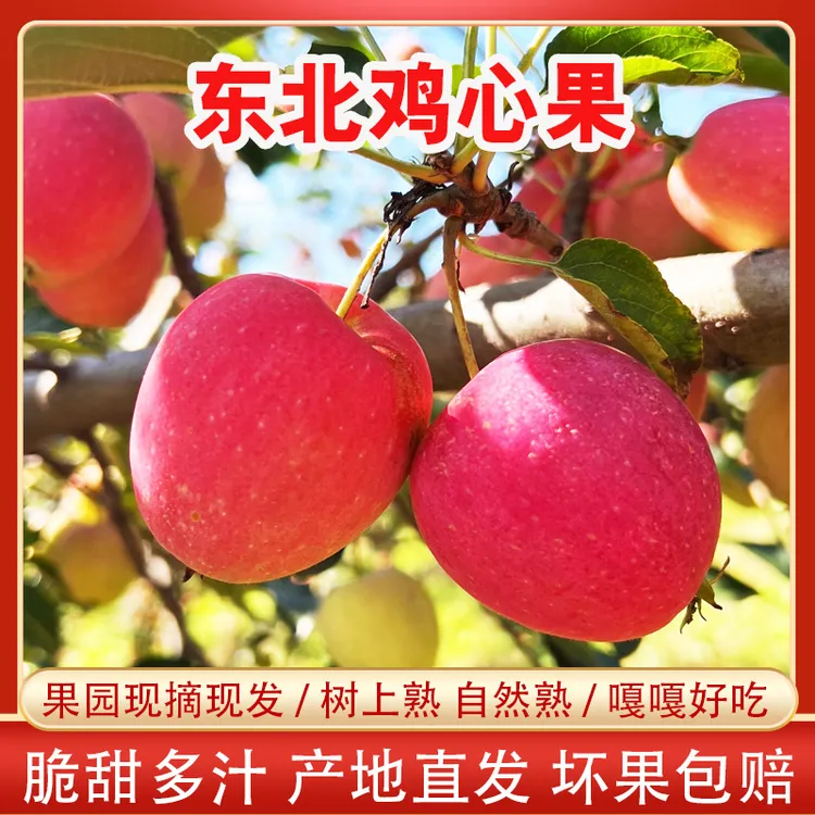 东北鸡心果 象牙山鸡心果 现摘现发脆甜多汁1斤3斤5斤包邮商品图
