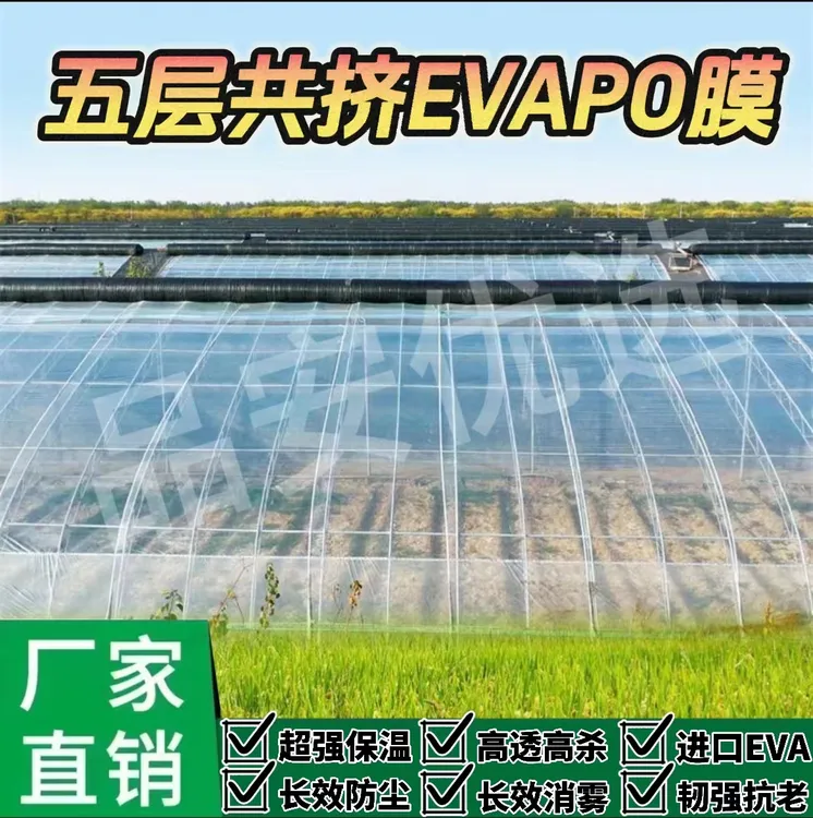 大棚膜加厚透光无滴膜农用抗老化消雾温室PO膜保温阳光棚蔬菜棚膜