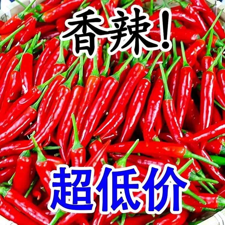 云南小米辣椒新鲜现摘特辣朝天椒农家半斤/净重5斤小尖椒小米辣