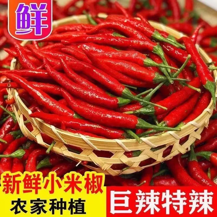 云南新鲜小米辣椒现摘特辣朝天椒辣椒炒菜尖椒批发薄皮特辣1斤起