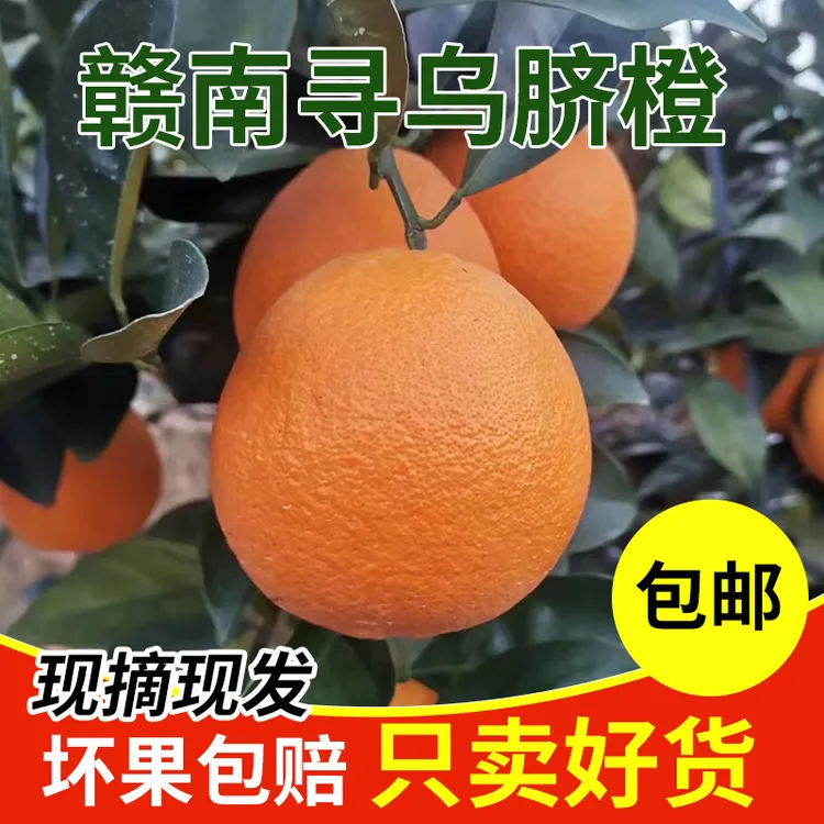 正宗江西赣南脐橙寻乌脐橙果园现摘现发新鲜水果无籽橙子10斤包邮