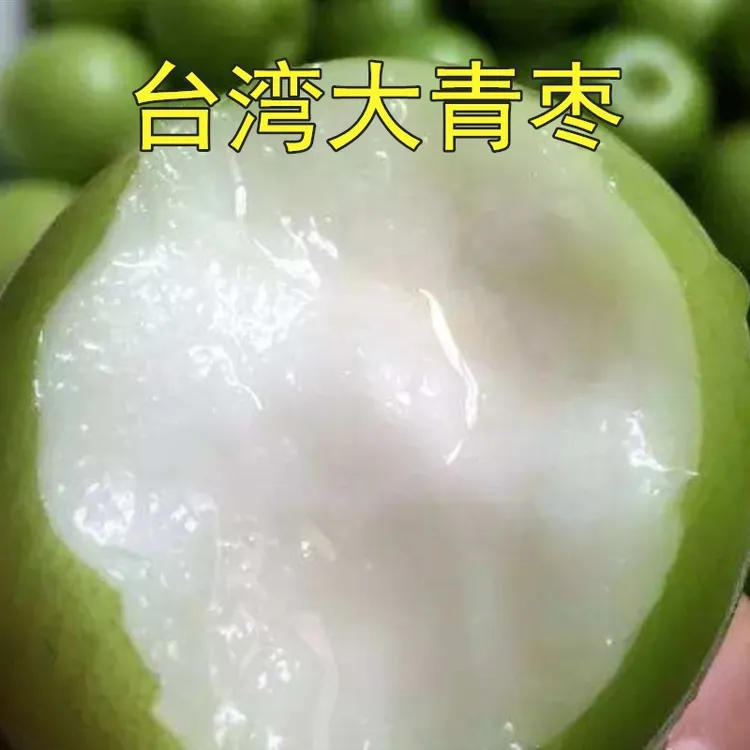 台湾牛奶特大青枣嫁接枣树苗贵妃蜜枣脆甜带土裸根多年生夏季清甜