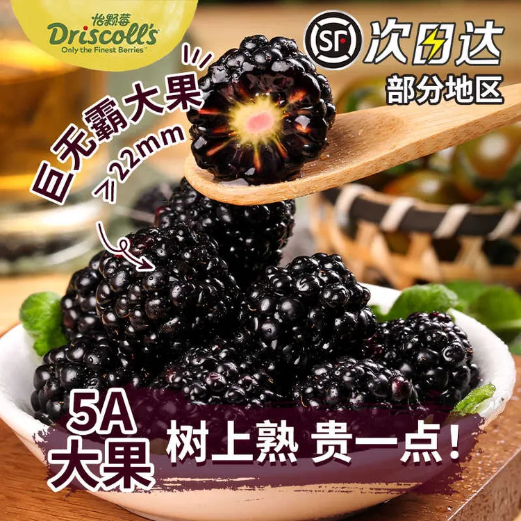 【顺丰空运】云南黑莓鲜果新鲜水果覆盆子稀有热带黑树莓整箱桑葚