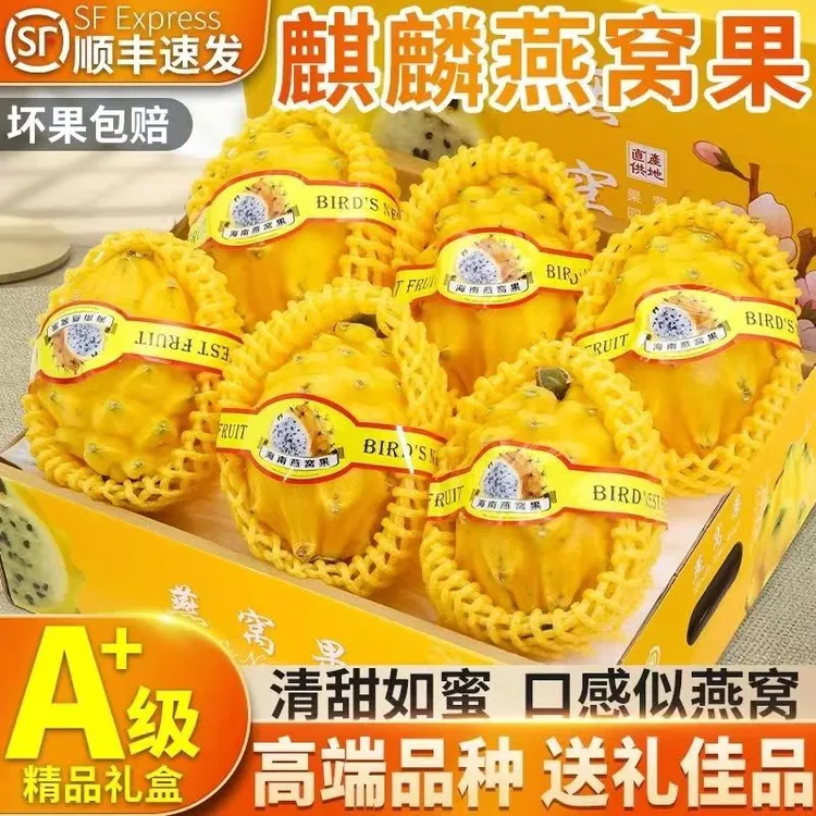 【顺丰包邮】海南鲜甜多汁冰糖燕窝果3-5斤礼盒装新鲜营养精品送礼