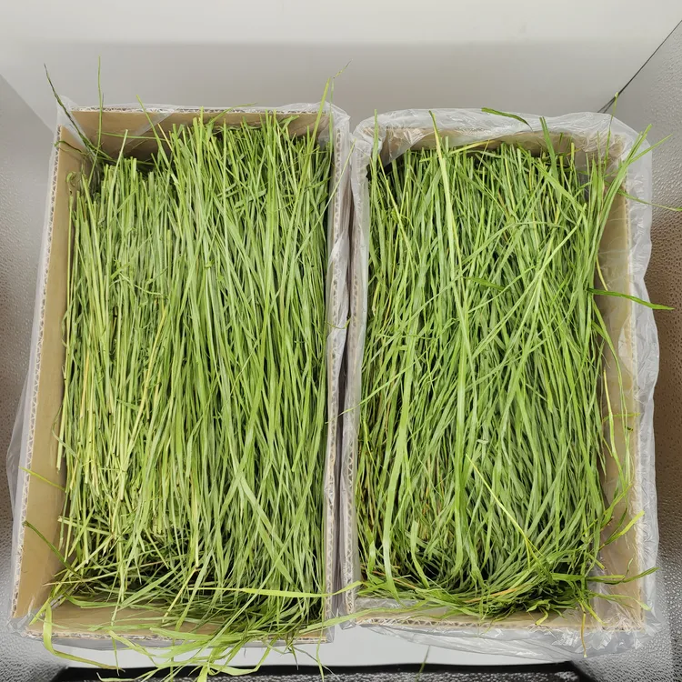 25头茬烘干提摩西草段兔草饲料龙猫荷兰猪草兔宠物一箱包邮干草