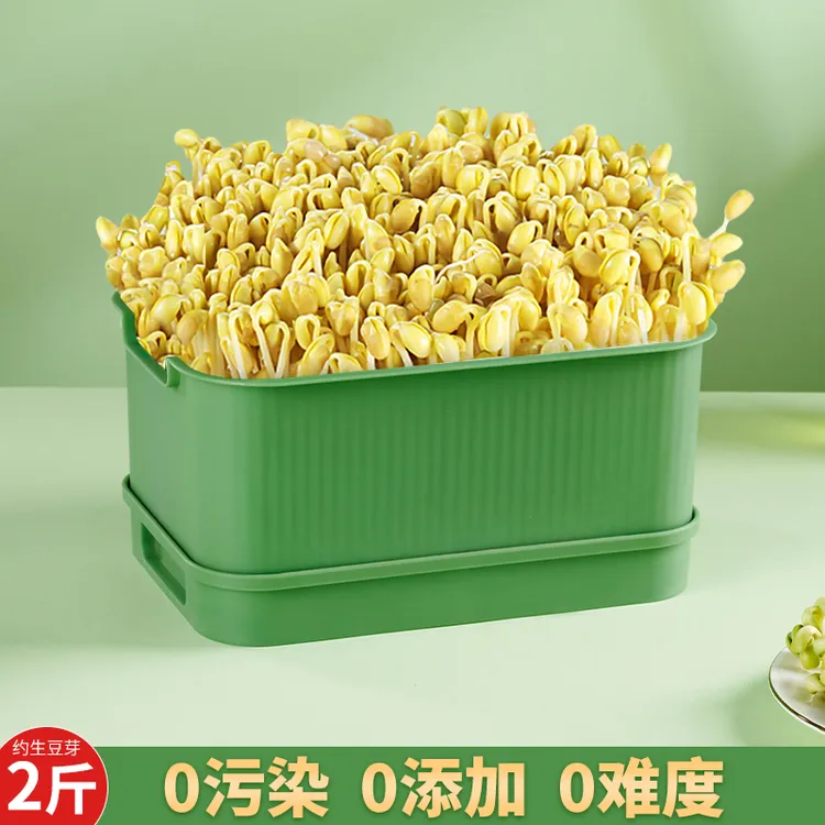 【包邮】发豆芽专用盆家用豆芽育苗盆豆芽罐花生黄豆绿豆芽苗盒