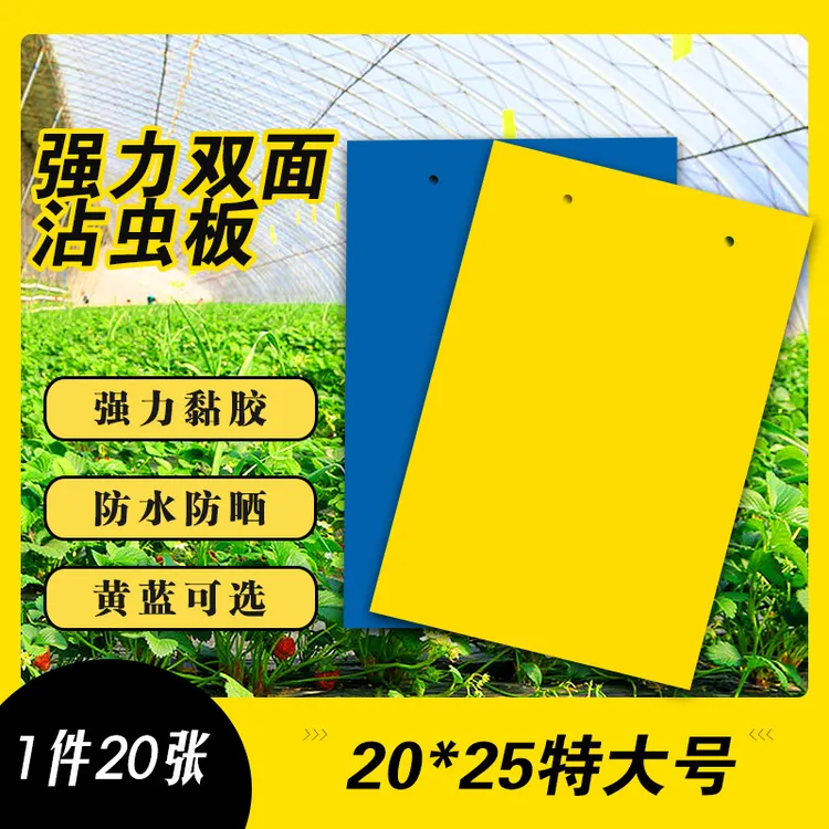 双面强力粘虫板诱虫板黄色蓝色灭小飞虫诱沾蚜虫白粉虱苍蝇农业