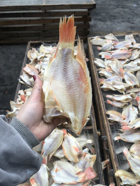 江门咸鱼干红腊鱼干小红鱼干咸鱼干货