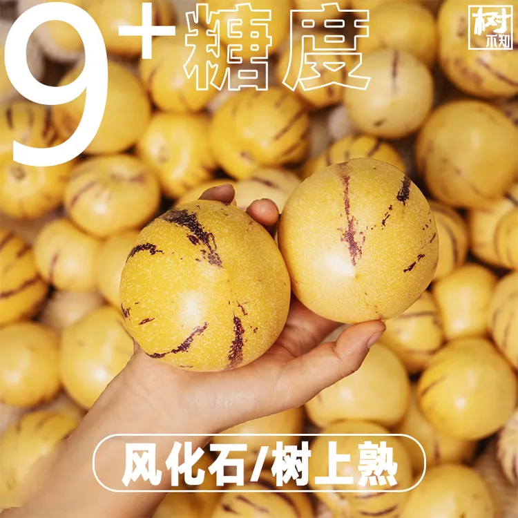 【慧姐专属】【9个+糖】正宗云南石林人参果人生圆果黄肉产地直发应当季水果