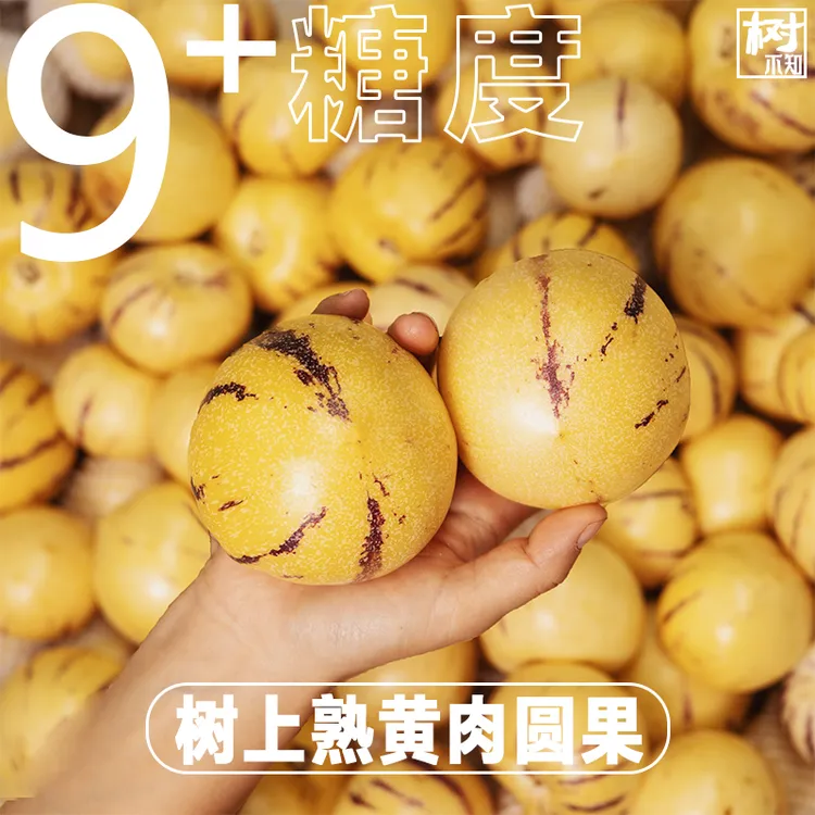 【9个+糖度】正宗云南石林人参果人生圆果黄肉产地直发应当季水果