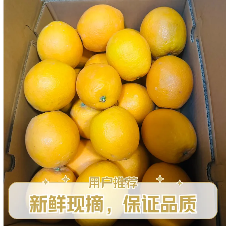 赣州寻乌脐橙精品大果