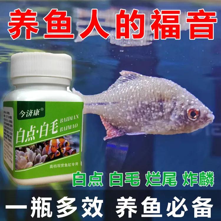 观赏鱼白点净白毛水霉鱼缸金鱼锦鲤鹦鹉鱼预防小瓜虫多种鱼类适用