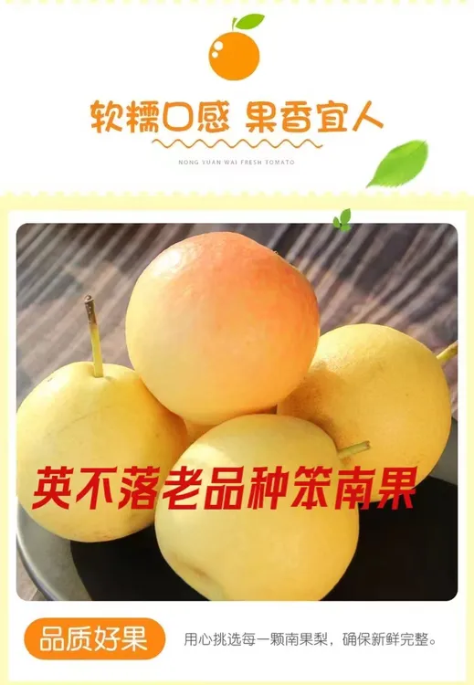 正宗鞍山英不落南果梨 地道家乡味 净果约4.5-5斤 （青果发货）