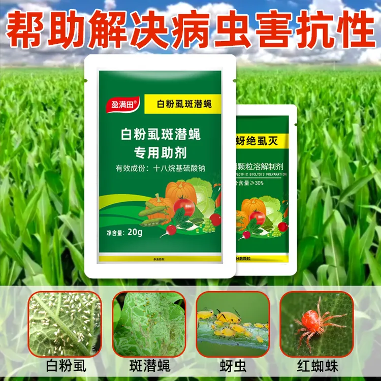 盈满田抗性白粉虱斑潜蝇蔬菜果树大田通用前打后落高效专用助剂