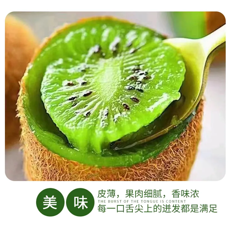 买6斤送3斤礼盒装新鲜修文贵长猕猴桃香甜多汁奇异果产地直发