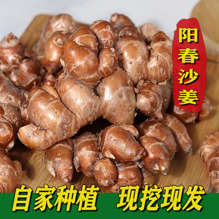 新鲜沙姜广东阳春沙姜沙姜现挖0.5-5斤包邮白切鸡椰子鸡调料