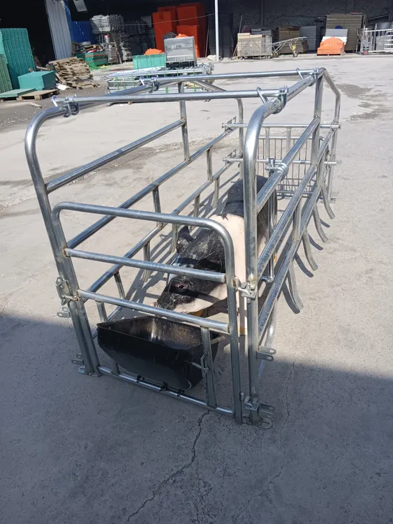 猪用落地母猪 简易母猪产床