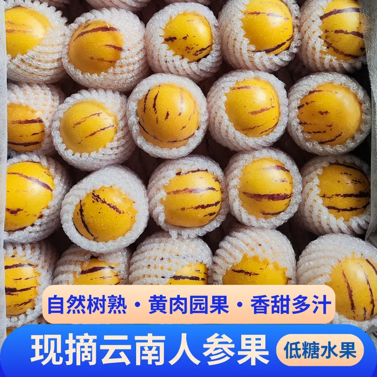 云南特产石林人参果产地直发坏果包赔人生果云南正宗人参果黄果