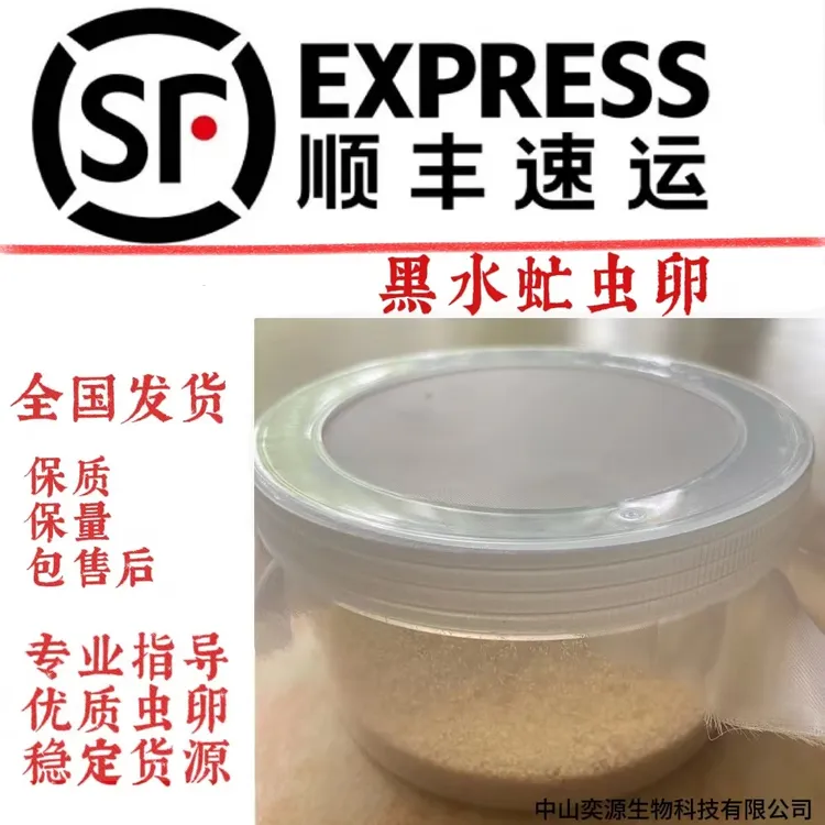 黑水虻虫卵专用孵化箱，赠送干湿度表、探温针