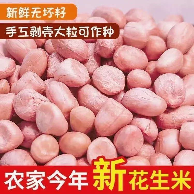 2025当季精选新鲜大粒粉红皮白沙生花生米现剥无壳新货新鲜菜榨油