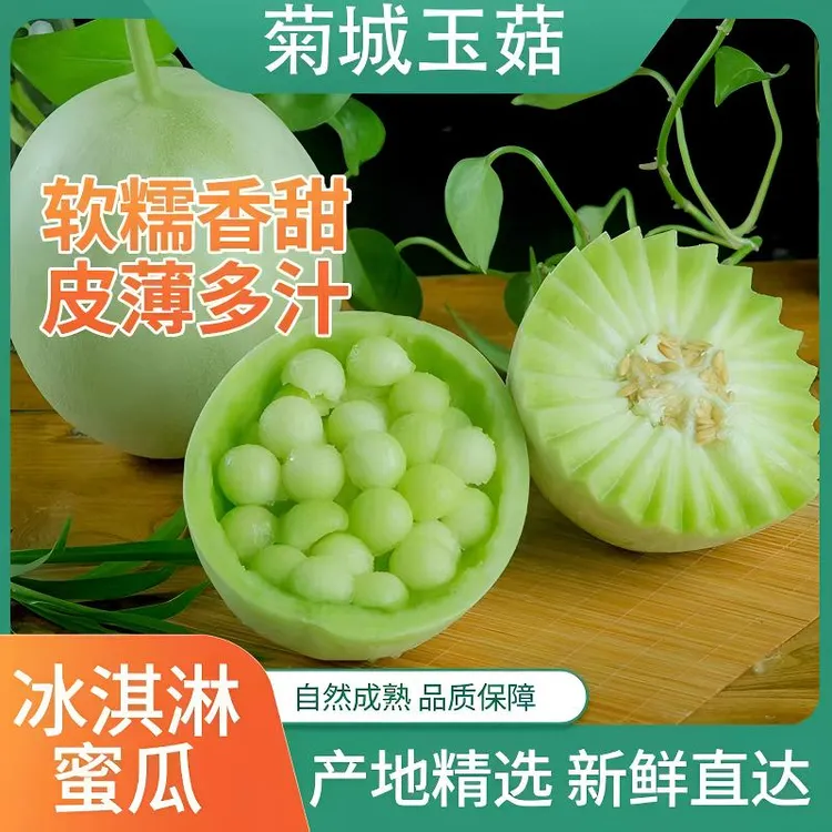 玉菇甜瓜冰激凌头瓜产地直发新鲜一藤一瓜软糯香甜现摘现发鲜甜